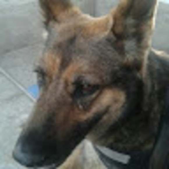 Meet your Posher, Nanbelle - Picture 1 of 1